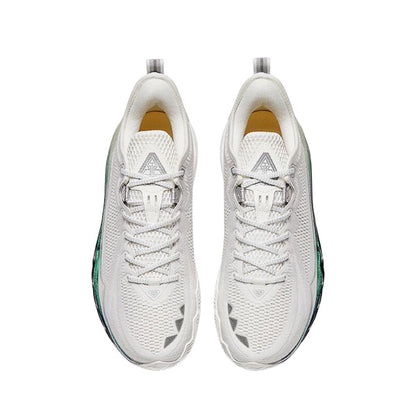 Anta Swagger 2 - Inheritance