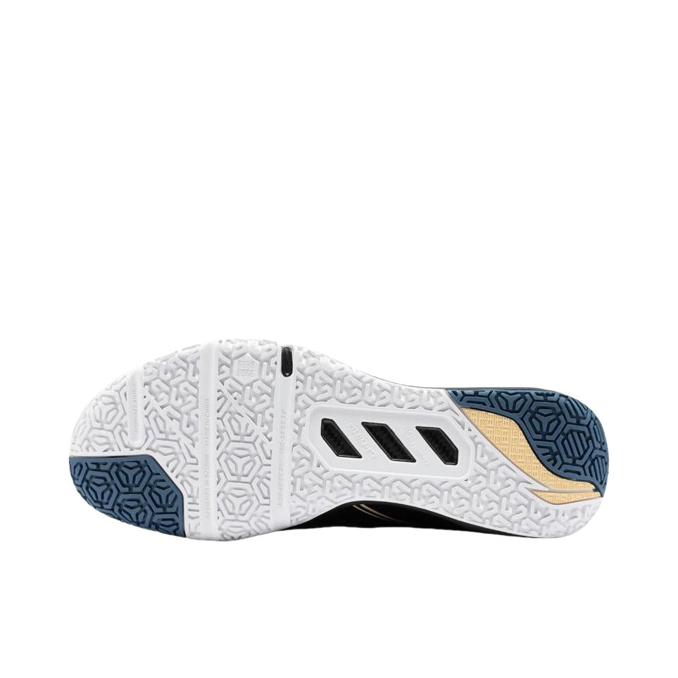 Li-Ning Saga II Pro Badminton Shoes - Wind Forest Fire Mountain